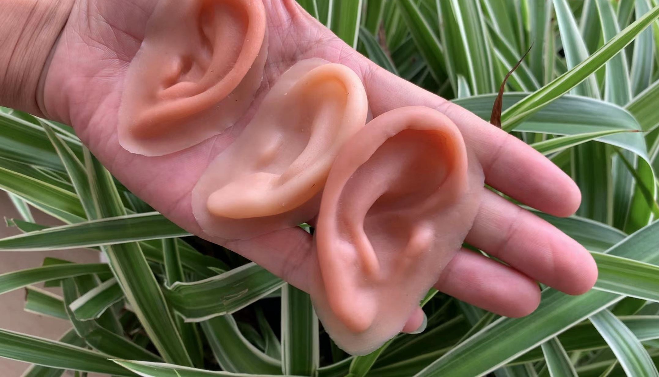 1657866289492082.jpg 1657866289492082.jpg